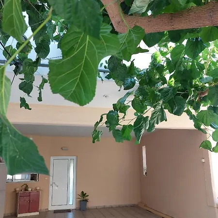 Argy Cozy * Chania (Crete)