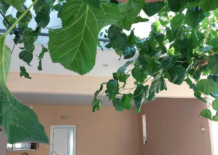 Argy Cozy * Ханья (Крит)